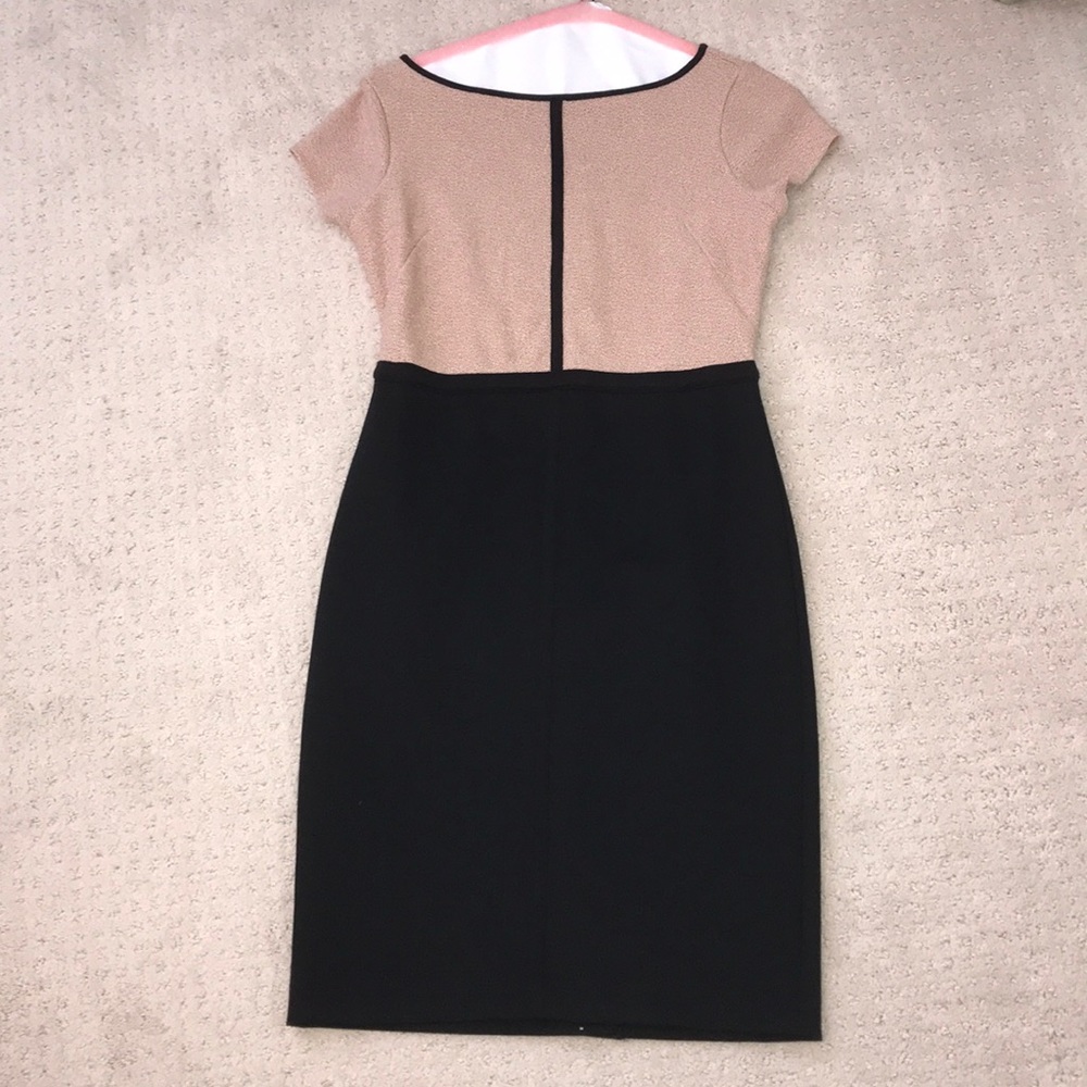 Ann Taylor Dress